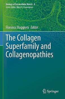 The Collagen Superfamily and Collagenopathies