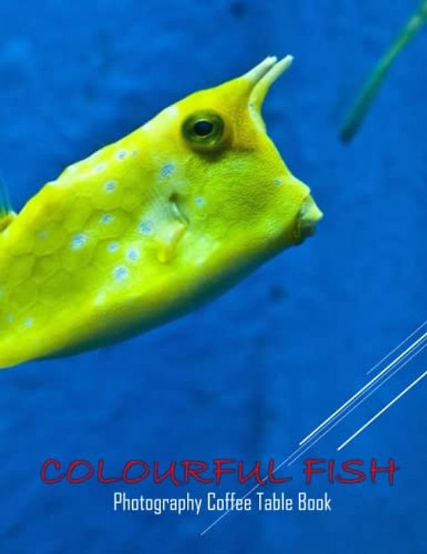 COLOURFUL FISH Photography Coffee Table Book: COLOURFUL FISH Photography Coffee Table Book: For People Of All Ages Who Love Fish . 40 Marvelous Images ... Creatures , Paperback – April 7, 2023.