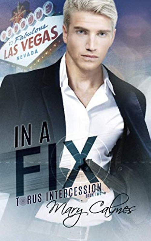 In A Fix: Torus Intercession Book Two