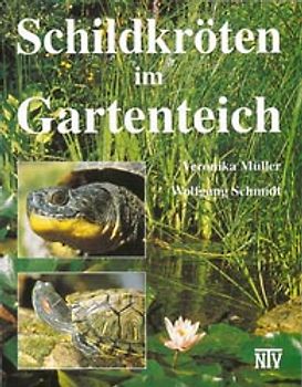 Schildkröten im Gartenteich