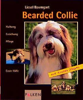 Bearded Collie
