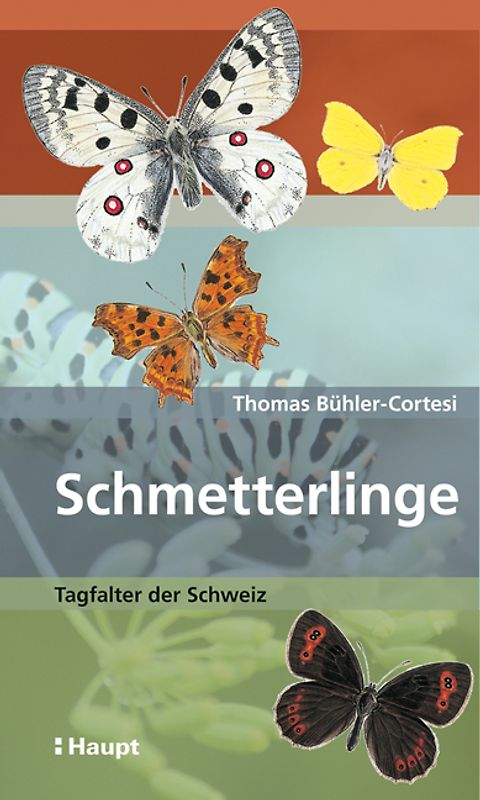 Schmetterlinge