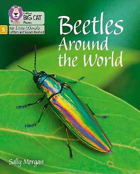 Big Cat Phonics for Little Wandle Letters and Sounds Revised - Beetles Around the World