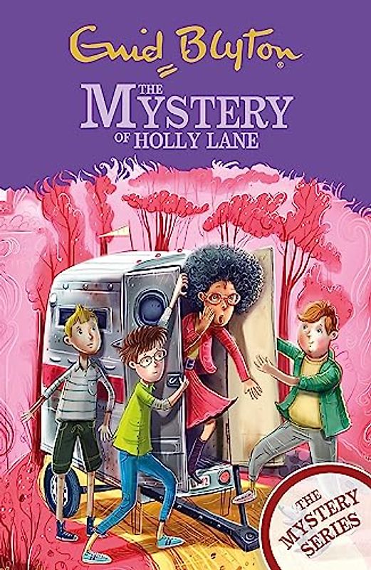 The Mystery of Holly Lane: Book 11 (The Mystery Series, Band 11)