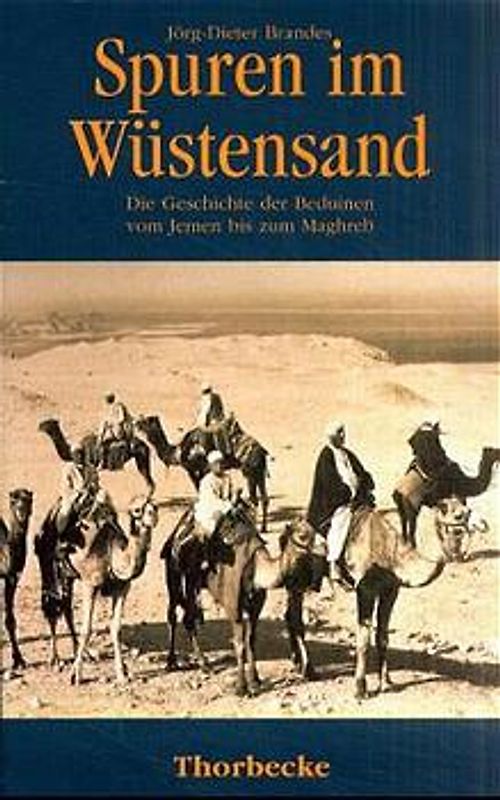 Spuren im Wüstensand