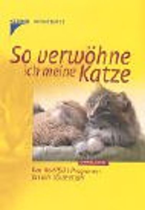 So verwöhne ich meine Katze