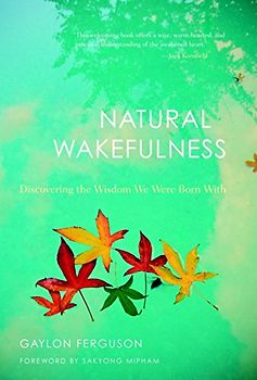 Natural Wakefulness: Discovering the Wisdom We Were Born With