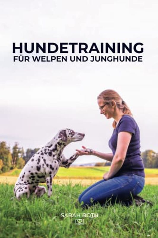 Hundetraining für Welpen und Junghunde