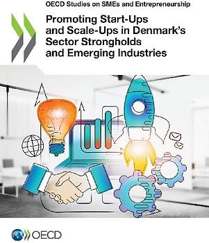Promoting Start-Ups and Scale-Ups in Denmark's Sector Strongholds and Emerging Industries