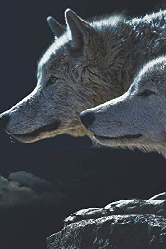 Tagebuch: Wolf Motiv - Wölfe bei Nacht