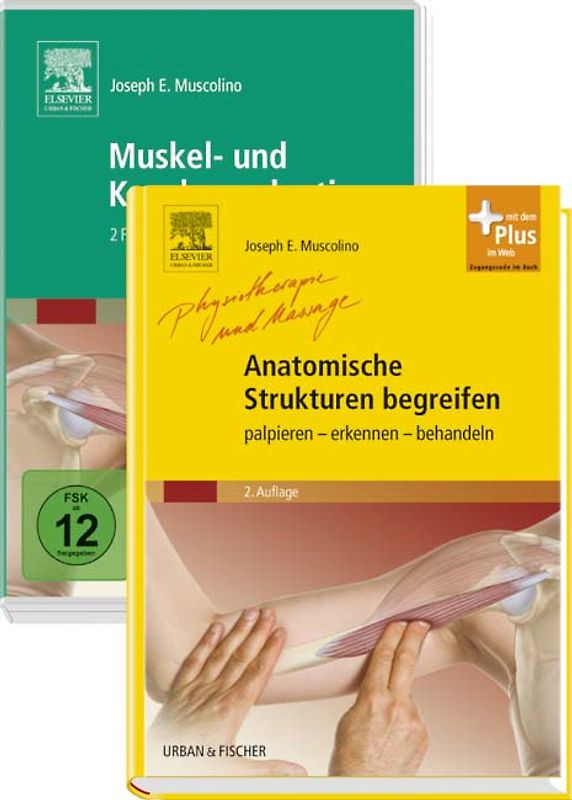 Anatomische Strukturen begreifen