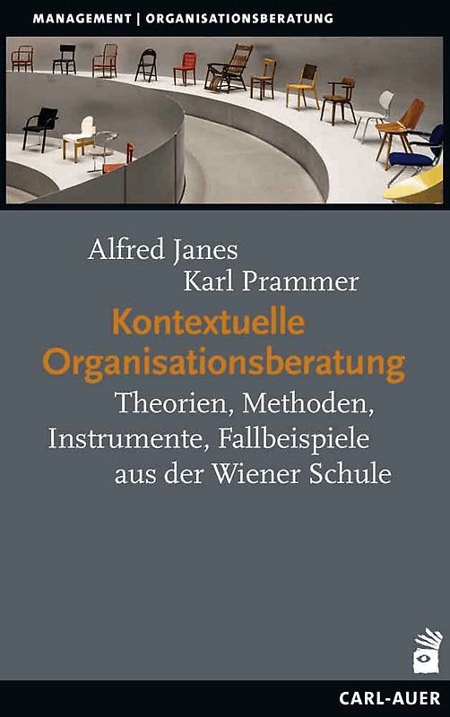Kontextuelle Organisationsberatung