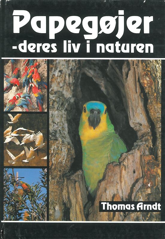 Papegojer - deres liv i naturen