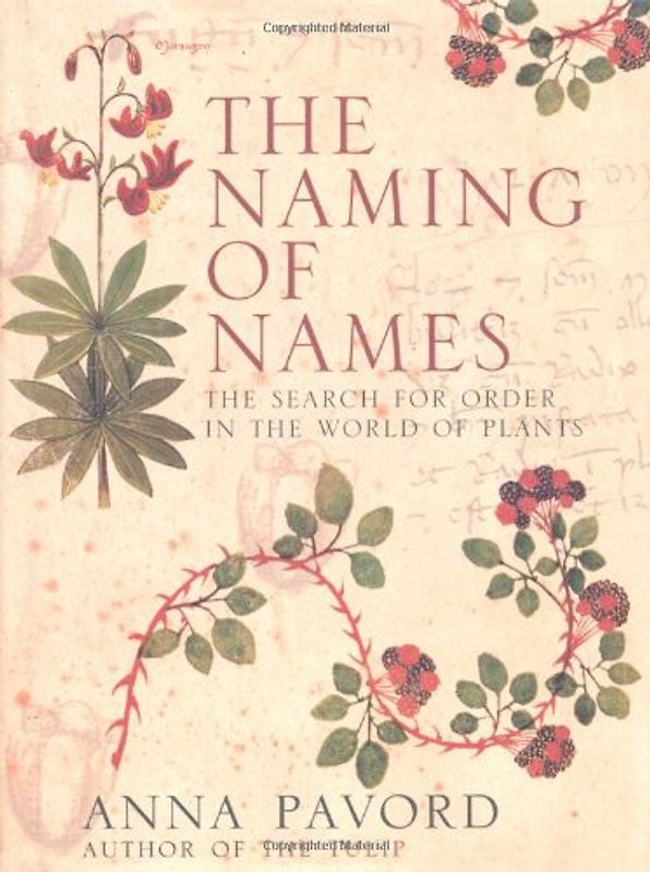 The Naming of Names
