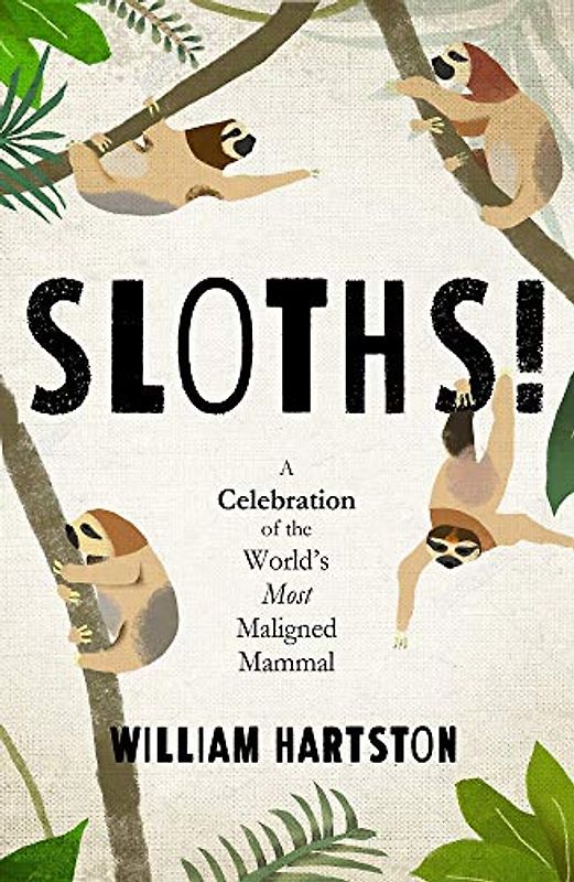 Sloths: A Celebration of the Worlds Most Maligned Mammal