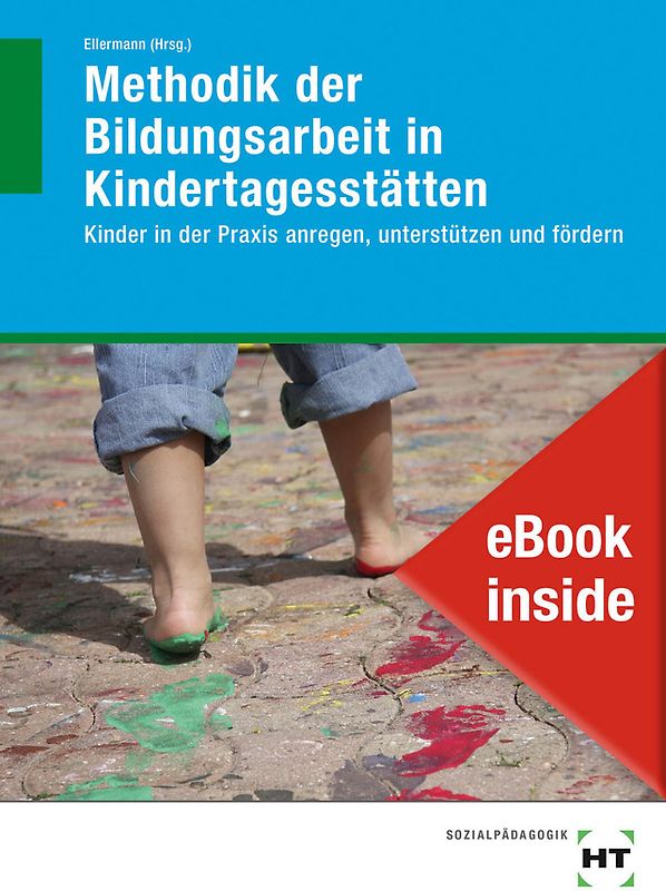 eBook inside: Buch und eBook Methodik der Bildungsarbeit in Kindertagesstätten