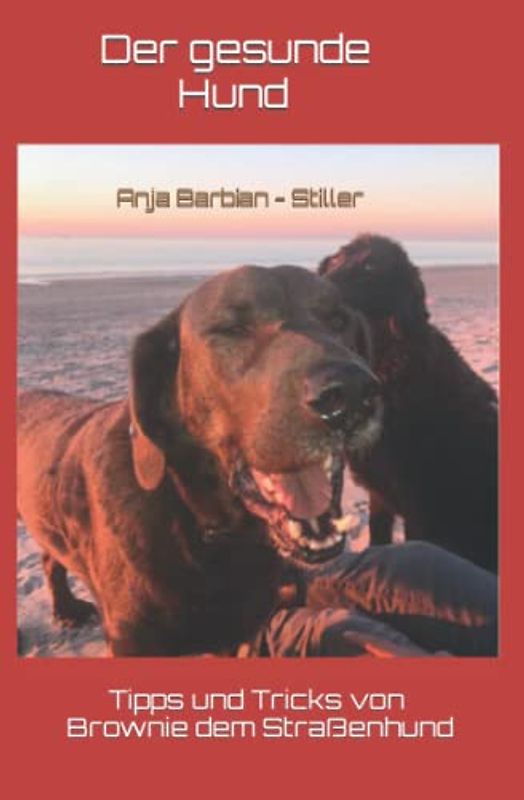 Der gesunde Hund: Tipps und Tricks von Brownie dem Straßenhund