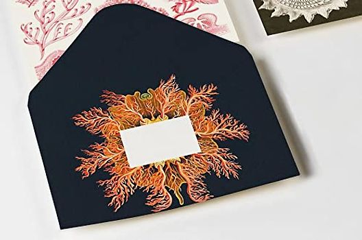 Maritime Art Forms: Envelopes (C6)