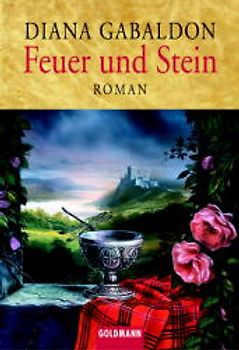 Feuer und Stein. Der Medicus von Saragossa