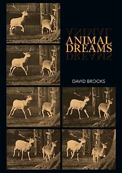 Animal Dreams