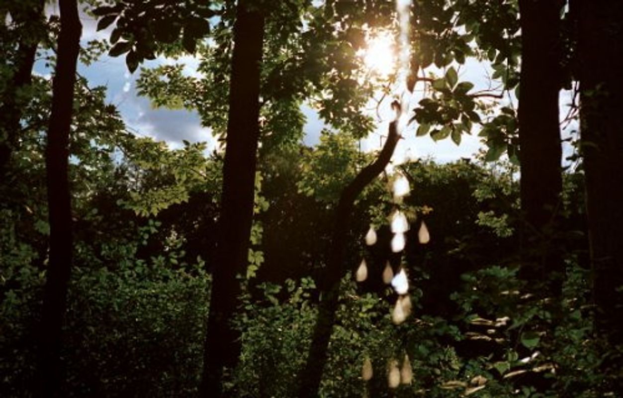 Pees on Earth: A Pissin' Mission