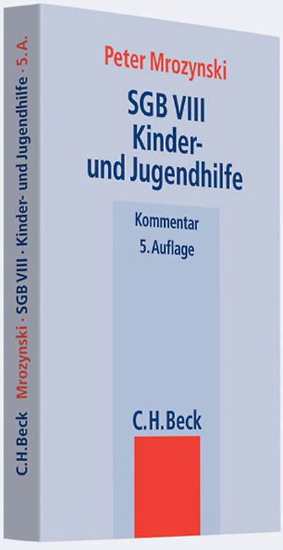 SGB VIII Kinder- und Jugendhilfe