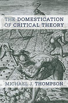 The Domestication of Critical Theory