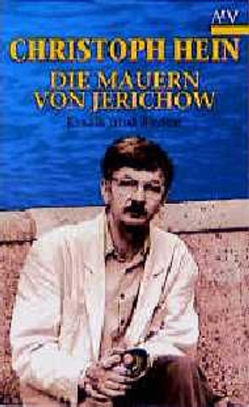 Die Mauern von Jerichow. Essais und Reden