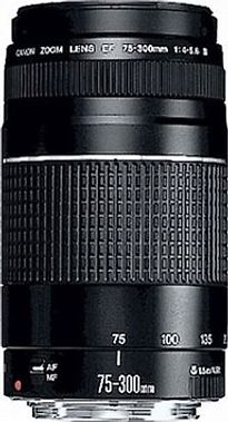 Canon EF 75-300 mm F4.0-5.6 III 58 mm Objectif (adapté à Canon EF) noir