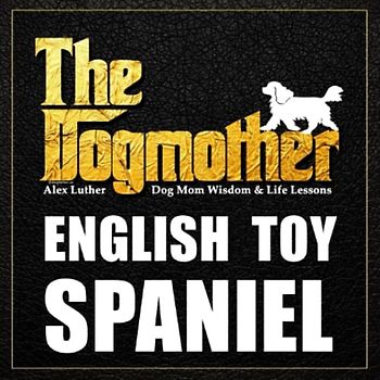 The Dogmother: English Toy Spaniel: (Dog Mom Wisdom & Life Lessons)