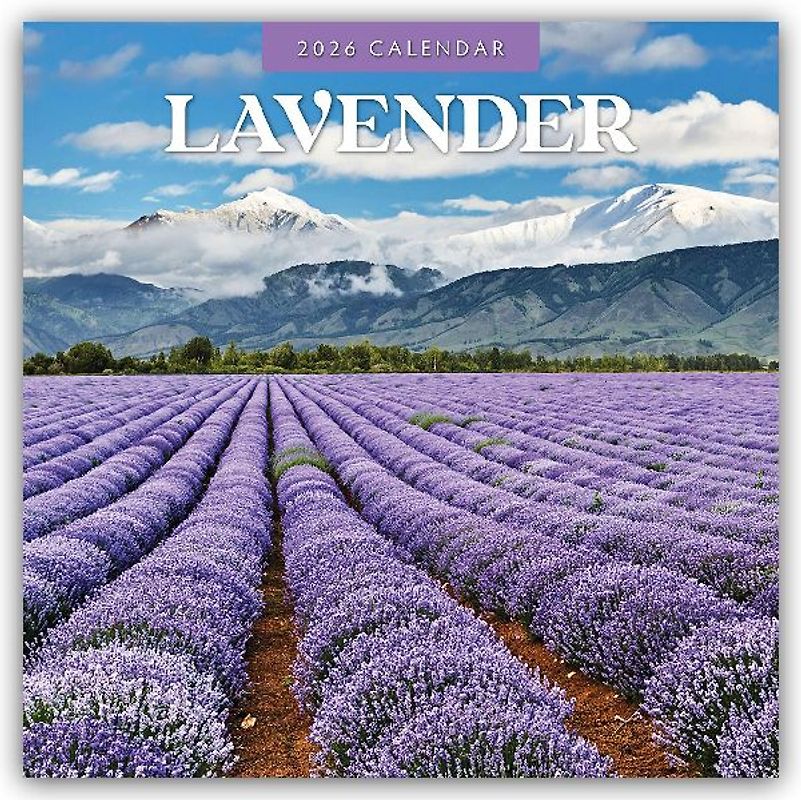 Lavender 2026 Square Wall Calendar