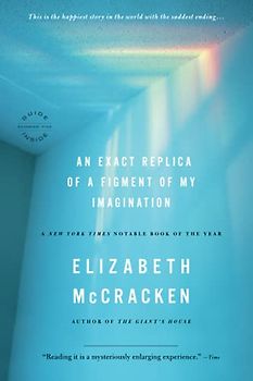 An Exact Replica of a Figment of My Imagination