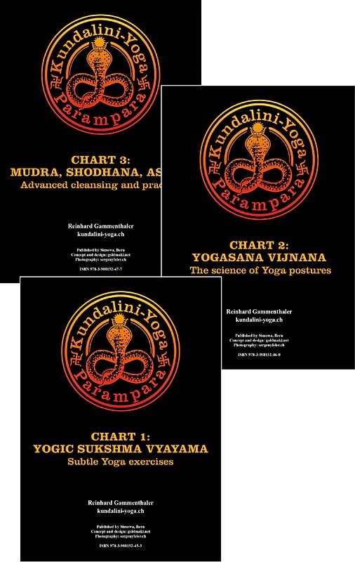 Yogacharts 1, 2 and 3 in a bundle