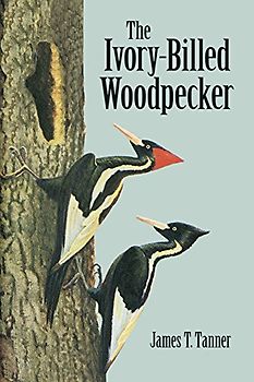 The Ivory-Billed Woodpecker (Dover Birds)