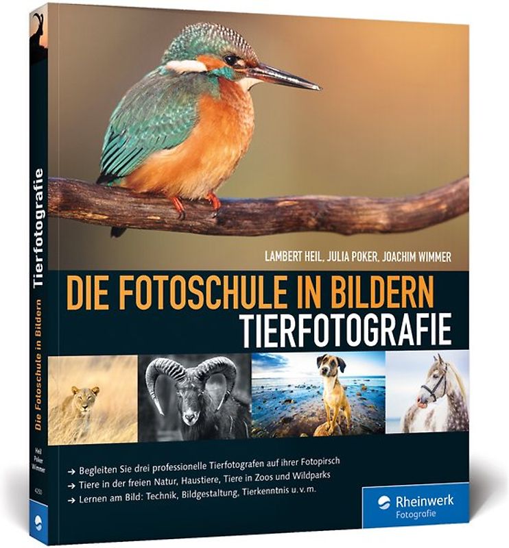 Die Fotoschule in Bildern. Tierfotografie