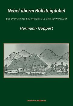 Nebel überm Höllsteigdobel