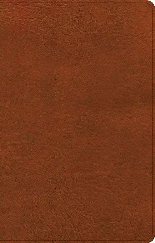 NASB Large Print Thinline Bible, Burnt Sienna Leathertouch