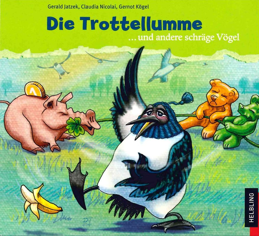 Die Trottellumme und andere schräge Vögel