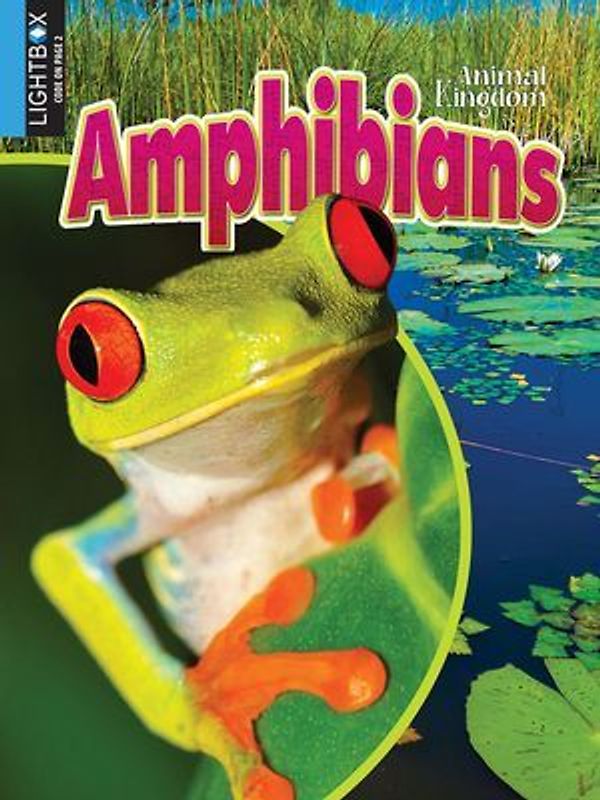 Amphibians