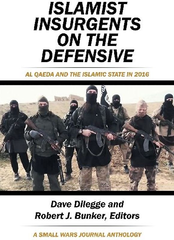 Islamist Insurgents on the Defensive