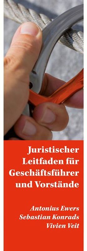 Juristischer Leitfaden für Geschäftsführer und Vorstände