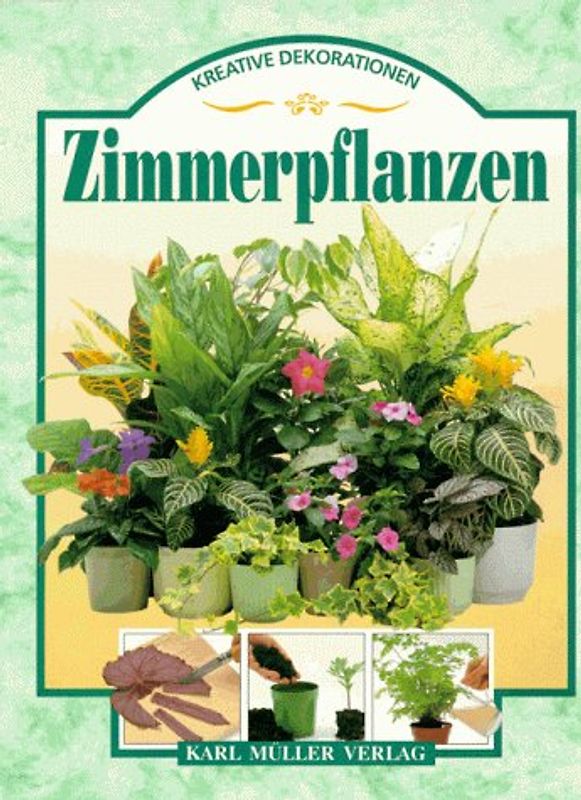 Zimmerpflanzen