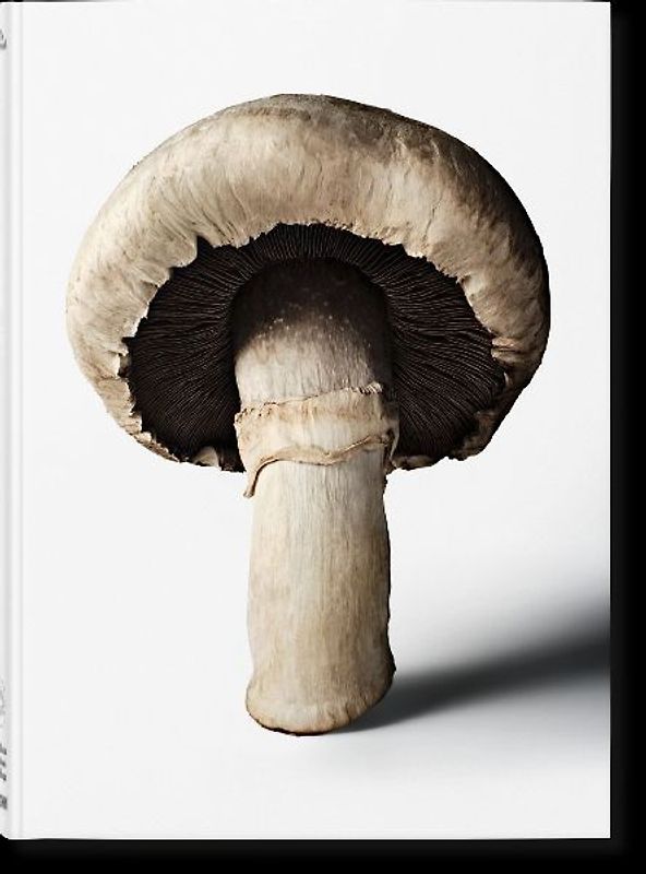 The Gourmand's Mushroom. A Collection of Stories and Recipes