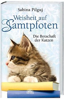 Weisheit auf Samtpfoten