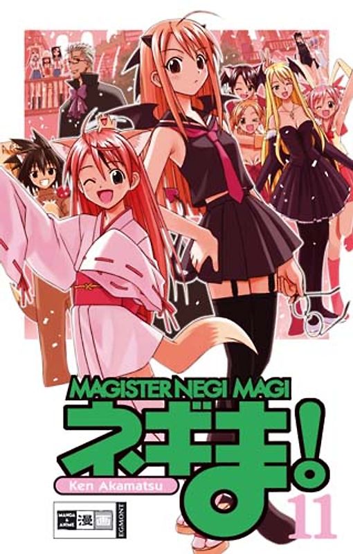 Negima! Magister Negi Magi 11