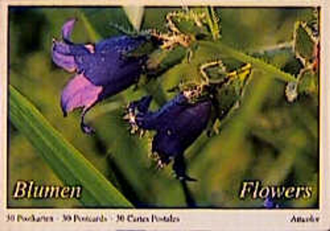 Blumen /Flowers. 30 Postkarten /30 postcards /30 Cartes Postales