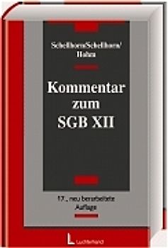 Kommentar zum SGB XII