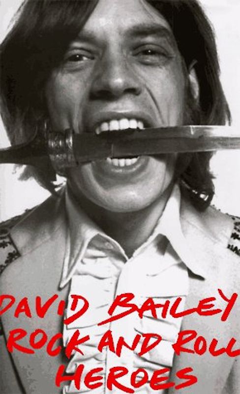 David Bailey's Heroes