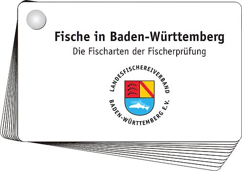 Aal bis Zander - Fischkartenset