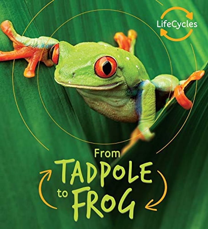 From Tadpole to Frog (Life Cycles)